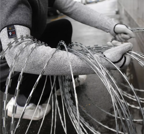 截屏2024 10 28 13.27.42 e