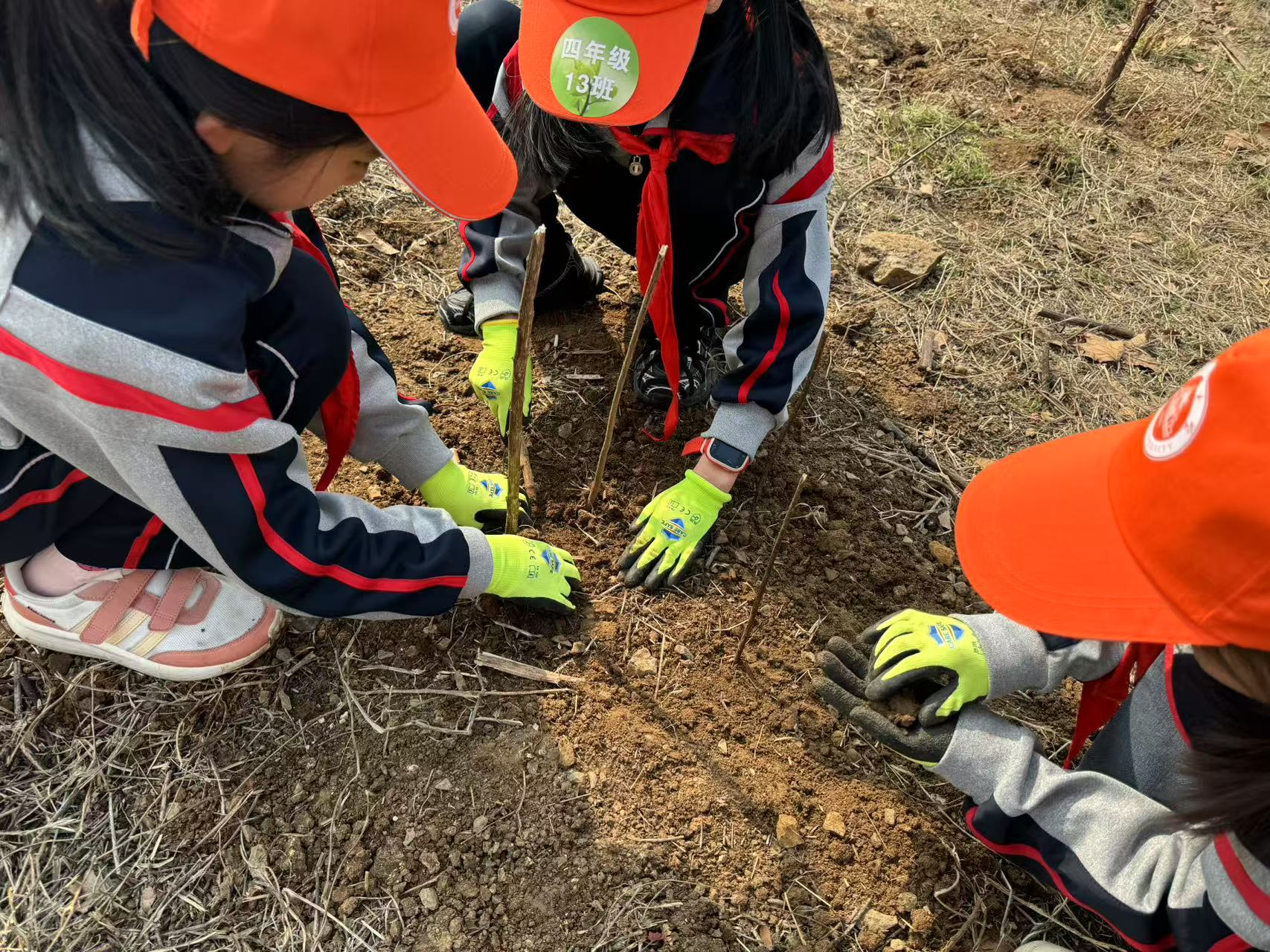 childrens garden gloves feature
