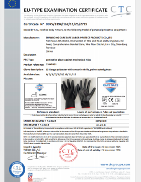 Nitrile glove CE certificate NT001 1